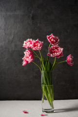 bouquet of pink terry tulips in a transparent glass vase on a dark background