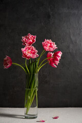 Beautiful bouquet of pink terry tulips in a glass vase on a dark background
