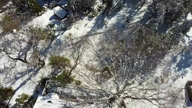 snow