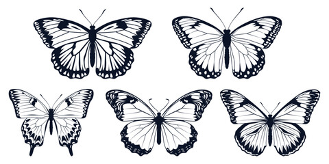 Black monochrome Butterfly Silhouettes Vector art - obrazy, fototapety, plakaty