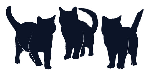 Animal Cat Silhouettes vector art