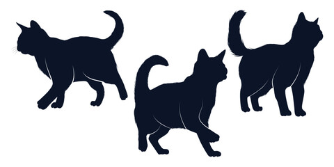 Animal Cat Silhouettes vector art
