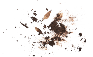 Wet mud, stains and dry yellow leaves, texture isolated on white background, top view and clipping path