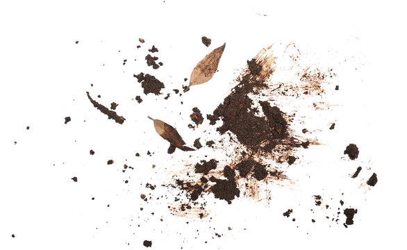 Wet mud, stains and dry yellow leaves, texture isolated on white background, top view and clipping path