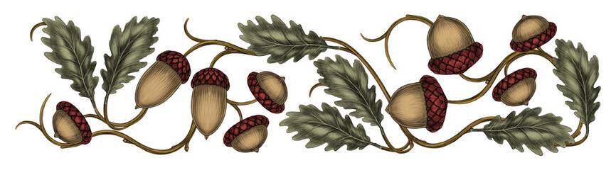 Oak branch with acorns and leaves hand drawn illustration in decorative vintage style Border © Fisenko Nataliia
