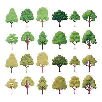 Vector Illustration of an assortment of stylized trees with different canopy shapes