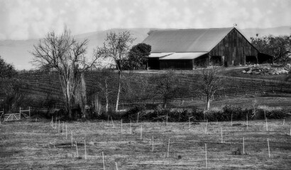 old barn in the field