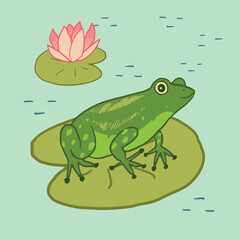 Cartoon doodle vector frog animal illustration.