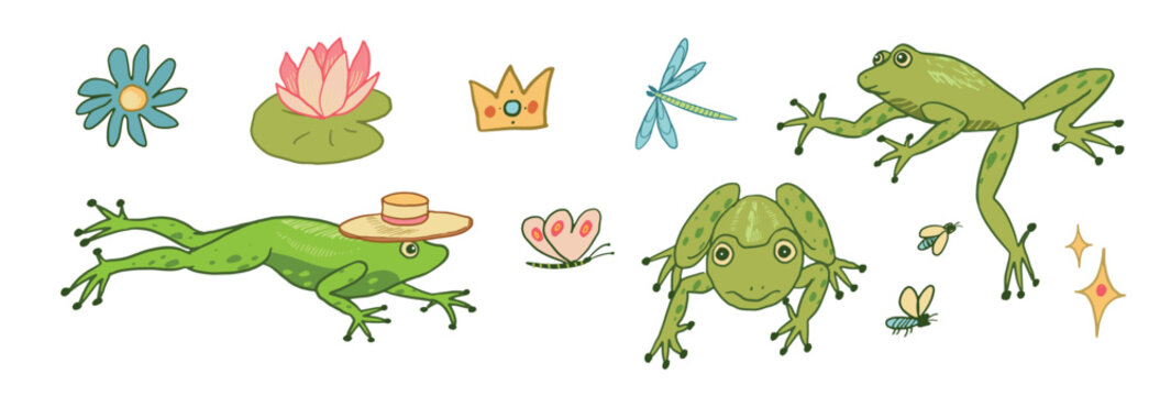 Cartoon doodle vector frog animal illustration.