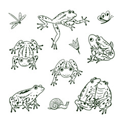 Set of cartoon doodle line vector frogs animals.