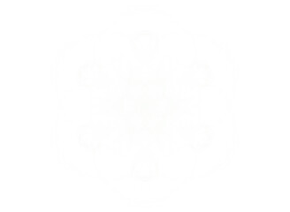 Fleur de plasma blanc