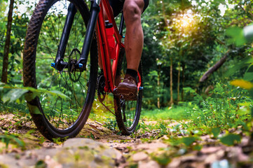 Fototapeta premium Close-up of Extreme Mountain Biking, Cyclist ride on MTB trails in the Green Forest with Mountain Bike, Outdoor sports activity fun and enjoy riding. Basic techniques of the athlete.