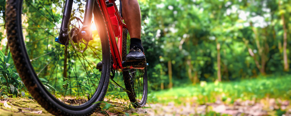 Close-up of Extreme Mountain Biking, Cyclist ride on MTB trails in the Green Forest with Mountain Bike, Outdoor sports activity fun and enjoy riding. Banner Size with Copy Space.