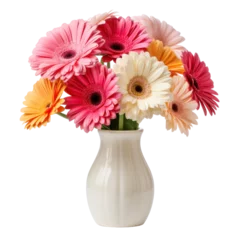 Poster Beautiful gerbera flowers bouquet in a vase solated on white or transparent background, png clipart, design element. Easy to place on any other background. © Sunny_nsk