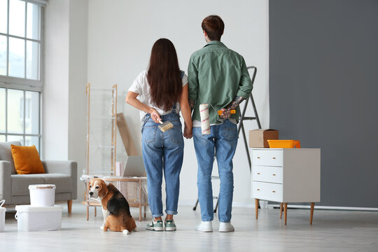 Young couple with paint rollers and Beagle dog during repair in their new house, back view