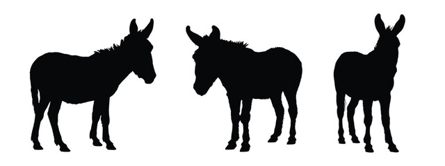 Donkey Silhouette. Donkey Vector Illustration.