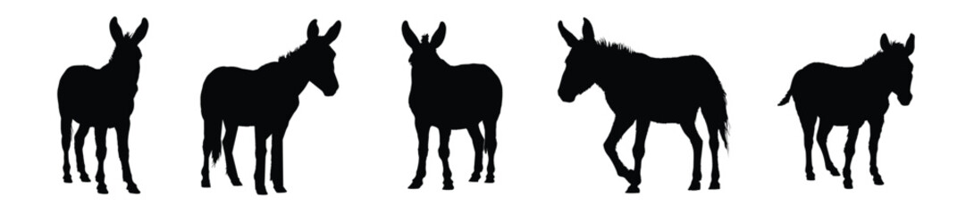 Donkey Silhouette. Donkey Vector Illustration. - obrazy, fototapety, plakaty