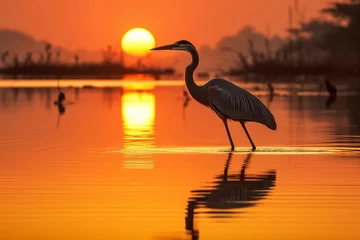 Afwasbaar Fotobehang Warm oranje Tranquil Heron lake sunset. Lake evening. Generate Ai