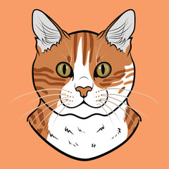 illustration of a cat, cat vector illustration, cat vector tracing, animal illustration, cartoon vector illustration