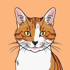 illustration of a cat, cat vector illustration, cat vector tracing, animal illustration, cartoon vector illustration