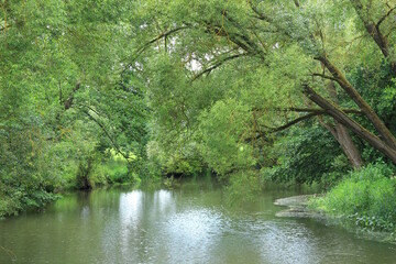 Die Schwalm bei Allendorf an der Landsburg