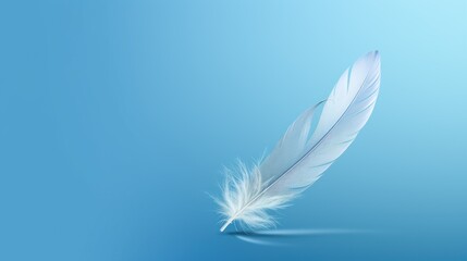  a close up of a white feather on a blue background with a reflection of the sky in the foreground.