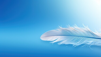  a close up of a white feather on a blue background with a bright spot in the middle of the image.