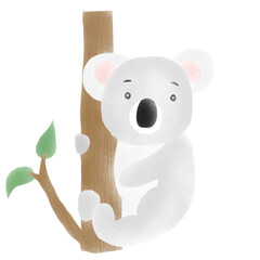 koala in tree
