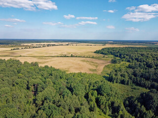 Fototapeta na wymiar Green deciduous forest next to a farm field. Landscape from a bird's eye view. Sunny weather.