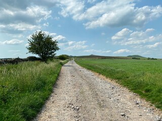 Track crossing hills, past walls, and fields, and on the horizon, Sharp Haw and Rough Haws hills near, Stirton, UK
