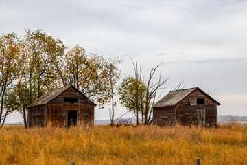 Fototapeta premium Rustic farm out buildings. Kneehill County, Alberta, Canada