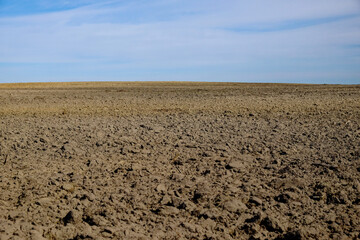 This is a photo of a plowed field with a blue sky.