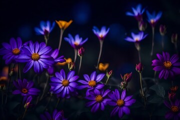 Purple flowers blooming in the night stock photo