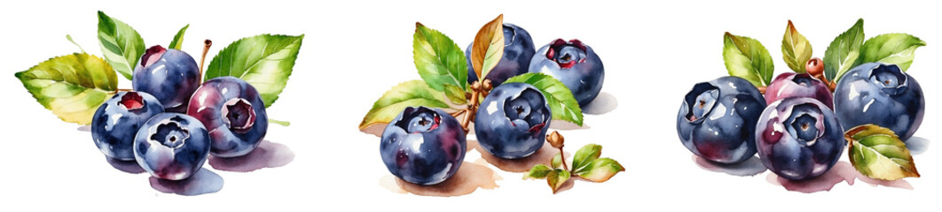 A collection of watercolor blueberry in PNG format or on a transparent background. Decorations and watercolor-painted design elements for a project, banner, postcard, business. Fresh berry.