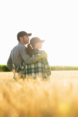 Naklejka na ściany i meble A couple of farmers in plaid shirts and caps stand embracing on agricultural field of wheat at sunset.