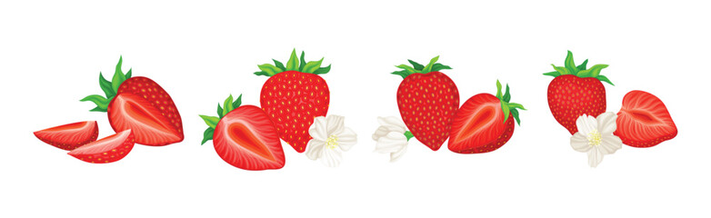 Fresh Red Strawberry Plant as Sweet Garden Crop Vector Set