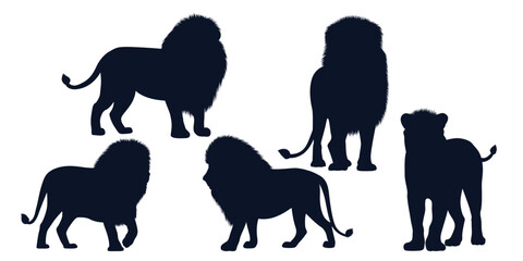 Animal Lion Silhouettes vector art