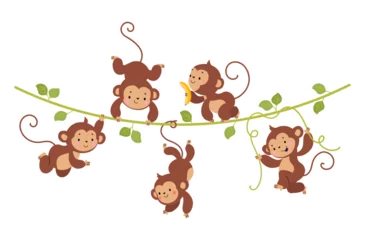 Papier Peint photo Singe Funny monkey on liana. Cute monkeys hang on vine, tropical exotic wild animals banner. Rainforest childish characters, nowaday vector background
