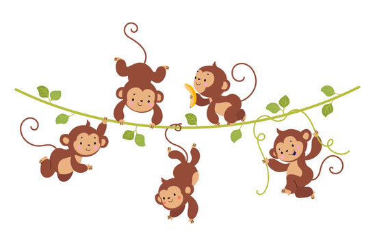 Funny monkey on liana. Cute monkeys hang on vine, tropical exotic wild animals banner. Rainforest childish characters, nowaday vector background