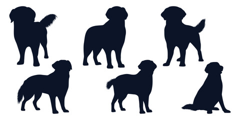 Collection of animal Dog in different positions