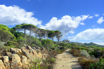 Caprera è la seconda isola per estensione dell'arcipelago di La Maddalena e fa parte del parco...