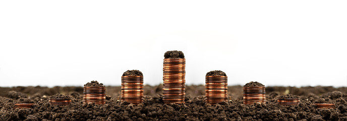 Growing and then down coins on the ground, isolated from the background. The concept of finance,...