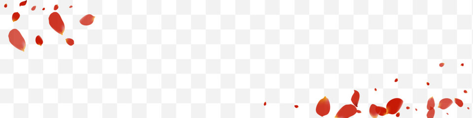 Beautiful Lotus Japanese Vector Transparent