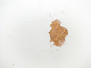 Part of an old door. White paint is coming off the wood. Surface with peeling paint.