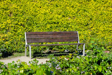 A park bench on a narrow path in the park