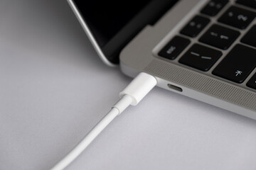 Laptop charging or data transferring with a usb cable
