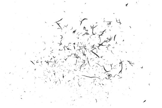 Black eraser scrap on a white background, top view.