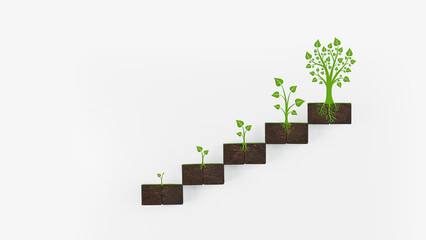 Business growth concept Financial planning for investment , Saving money for the future ,Tree growth ,copy space.