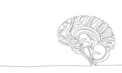 Human brain one line continuous banner. Line art human brain line art. Hand drawn vector art.