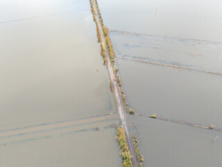 Somerset Levels Flood